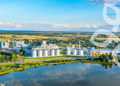 Оліяр інвестує у будівництво нової птахофабрики у Львівській області на 2,3 млн курей