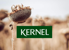 Андрій Веревський розпочав викуп акцій Kernel для делістингу з Варшавської біржі
