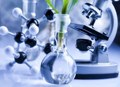 The global biotechnology market research