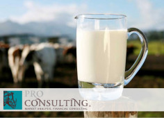 Рынок молока и молочных продуктов Украины