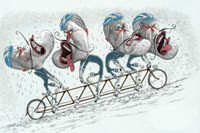 Дисфункциональная команда – как распознать и что делать?