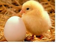 Самарский бизнес-инкубатор ищет резидентов