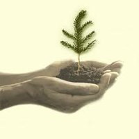 I2BF Global Venture намерена запустить венчурный фонд для инвестиций в альтернативную энергетику и очистку воды