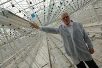 Агрокомпания CFG с активами в Украине намерена провести IPO