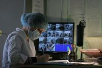 Инвестгруппа ITT реализует в Киеве проекты частного хосписа и медицинской плазы