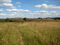 Арабские инвесторы готовы к скупке украинских земель