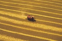 Инвестиции в АПК Украины увеличились до 170 млн долл