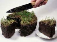 Предпринимателям станет жить проще! Изменение законов об аренде земли