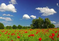 Принятие закона о рынке земли привлечет инвестиции в село – Н.Азаров