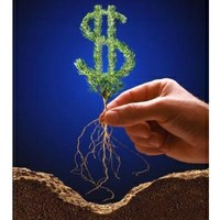 Израильские компании собираются вложить $35 млн. в аграрный сектор Украины