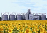 Сумщина получит $130 млн. на строительство элеваторов и овощехранилищ – ОГА