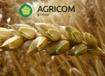 Cyprus Armpitch Holdings to buy blocking stake of domestic Agricom Group