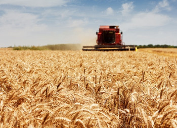 Украинский агросектор привлек 17 млрд. грн. за первые полгода