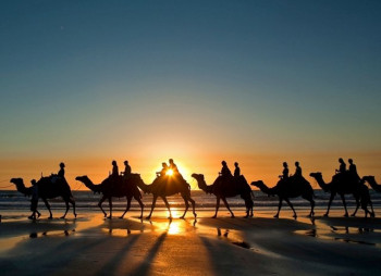 Украина станет участником китайской ассоциации "Шелковый путь" с бюджетом в $46 млрд