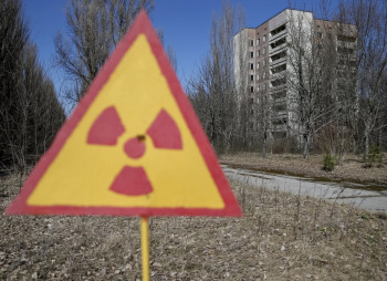Danish NPP studies possibility of investments into solar power station in Chernobyl zone
