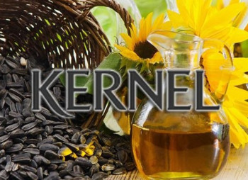 Kernel продает свой «лишний» актив за 1,2 млрд. грн