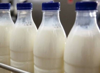 Roshen вложит 25 млн. евро в строительство второй очереди Винницкого молокозавода