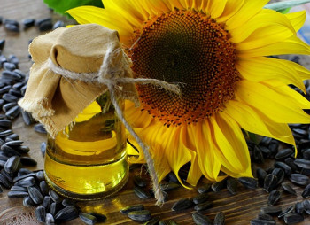 Производитель масла ViOil привлек $80 млн. от европейских банков