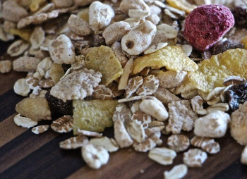 Agricom Group построит завод по производству хлопьев