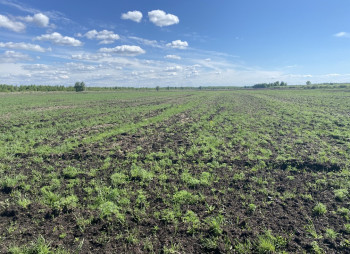 Продажа агрокомпании 2600 га с поливом под выращивание овощей, зерновых и животноводство