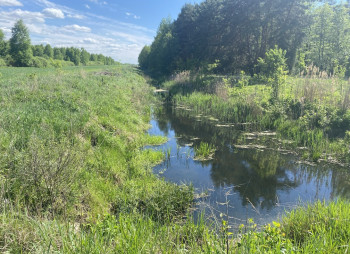 Продажа агрокомпании 2600 га с поливом под выращивание овощей, зерновых и животноводство