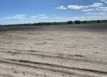 Продажа агрокомпании 2600 га с поливом под выращивание овощей, зерновых и животноводство