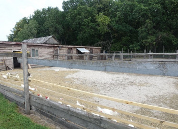 Продажа базы отдыха в Черкасской области