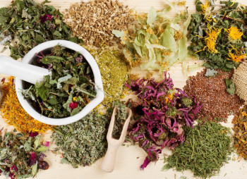 Переработка и экспорт лекарственных трав для фармацевтической, пищевой, косметической и кормовой отраслей