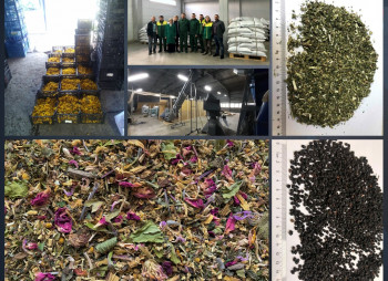 Переработка и экспорт лекарственных трав для фармацевтической, пищевой, косметической и кормовой отраслей