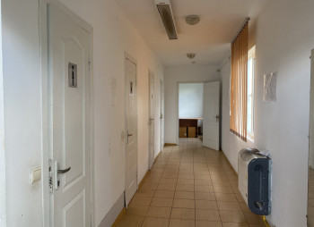 Продажа производства снэковой продукции ТМ «ТАТО»