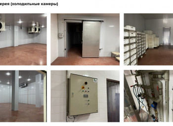 Продажа производственного комплекса пищевого назначения в Киевской области
