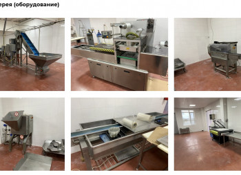 Продажа производственного комплекса пищевого назначения в Киевской области