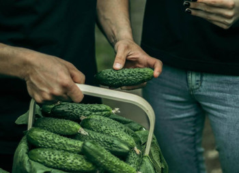 AgroGloryTime - инвестиции в агробизнес Украины по технологии blockchain