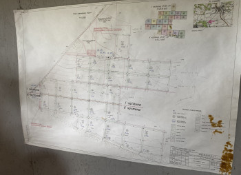 Organic berry farm with expansion project in Kyiv region for sale