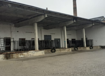 Продаж хлібозаводу в Київській області