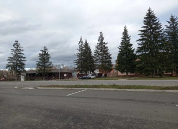 Продаж митного терміналу 1,84 га, 2100 м2, Житомирська область, Овруч