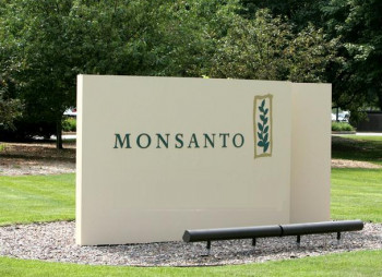 Кому из двух немецких конкурентов достанется крупнейшая американская химкомпания Monsanto?