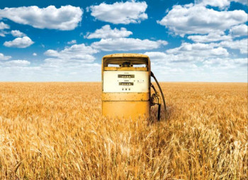 Ukrteplo to invest into reconstruction of sugar plant into vegetable oil processing and biofuel plants 