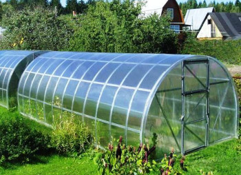 Тепличное хозяйство