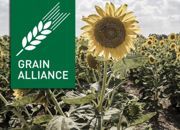 Шведская компания запустит мукомольный завод в Киевской области