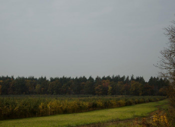 Земельные участки от CPD Group в Киево-Святошинском районе 