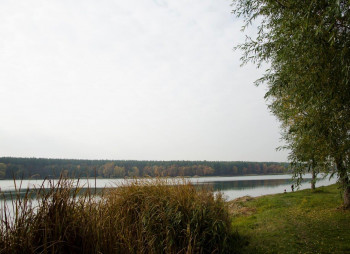 Земельные участки от CPD Group в Киево-Святошинском районе 