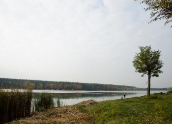 Земельные участки от CPD Group в Киево-Святошинском районе 