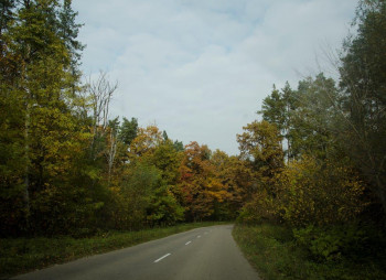 Земельные участки от CPD Group в Киево-Святошинском районе 