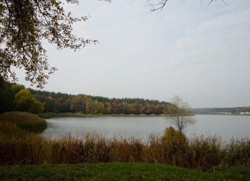 Земельные участки от CPD Group в Киево-Святошинском районе 