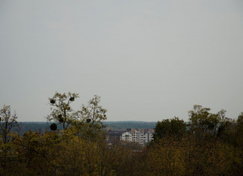 Земельные участки от CPD Group в Киево-Святошинском районе 