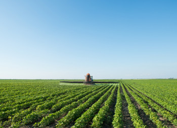 The purchase of agricultural company with a territory of 3 000 – 50 000 ha (western and central Ukraine) 