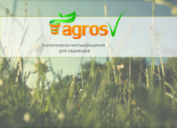 Производство и реализация изделий из торфа – торфяные стаканчики для выращивания рассады