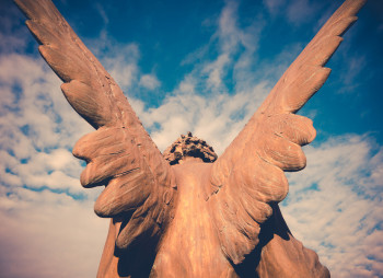 Бизнес ангелы Украины