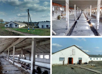 Животноводческий комплекс со специализацией: птицеводство, свиноводство, скотоводство